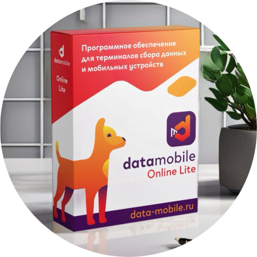 DataMobile Online Lite